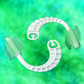 Bite Blocks